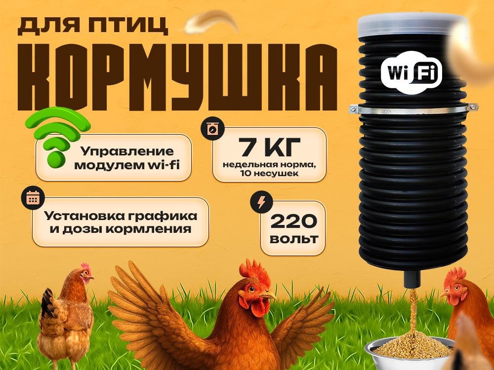 a513578f-98eb-422c-b2fc-4d8c61aa2d0b-4_3 (1).jpg